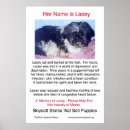 Suche nach tierrettungs poster Tiere