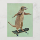 Recherche de skateboard cartes postales Fleurs