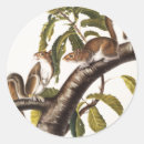 Recherche de vintage animal autocollants Faune