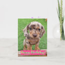 Recherche de saucisse cartes postales Chiot