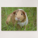 Recherche de cobayes puzzles Vert