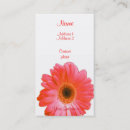 Suche nach roter gerbera Orange