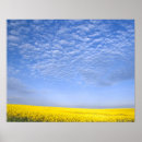 Suche nach crop poster Fotografie