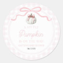 Suche nach rosa kürbis aufkleber Ein kleiner kürbis