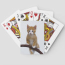 Recherche de chats jeux de cartes Girl