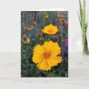 Suche nach cosmos karten Fotografie