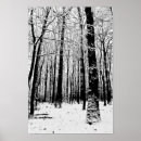 Suche nach weißer baum poster Wald