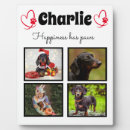 Suche nach hundedecke Hundeliebhaber