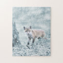Recherche de fox puzzles Boisé