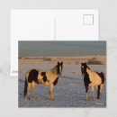 Recherche de peintures de cheval cartes postales Chevaux