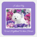 Suche nach west highland white terrier aufkleber West hochland weiß
