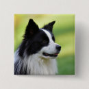 Recherche de border badges Animal