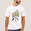 Recherche de arbre orange tshirts Plante