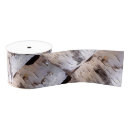 Recherche de écorce rubans Arbre