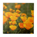 Recherche de californien carreaux Délimiteur danita