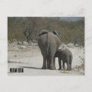 Suche nach jumbo poster Natur