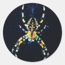 Recherche de orbital autocollants Araignée