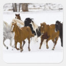 Suche nach winterlich aufkleber Pferd