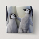 Recherche de empereur badges Animal