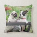 Suche nach glückliche vom hund kissen Für sie