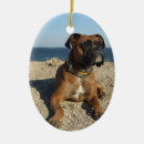 Recherche de noël de boxeur Animal familier