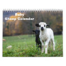 Suche nach schafe kalender Lämmer