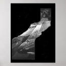Suche nach nemo poster Comic