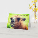 Suche nach angry karten Niedlich