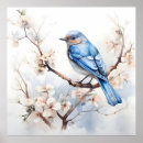 Suche nach eleganter vogel poster Aquarell