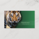 Recherche de tigre cartes visite Nature