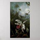 Suche nach weiße orchideen poster Tropische blume