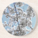 Suche nach kirschbaum untersetzer Blumenreich