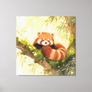 Recherche de panda rouge art Pandas