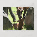 Recherche de elfes cartes postales Passage