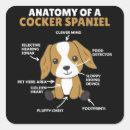 Suche nach cocker spaniel welpe aufkleber Hunderasse