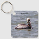 Recherche de pelican porteclés Nature