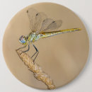 Suche nach insekten buttons Libelle