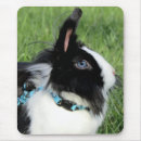 Suche nach weißes kaninchen mousepads Frühling