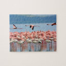 Suche nach flamingos puzzle Foto