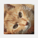 Recherche de de chat refrigérateur magnets Cats