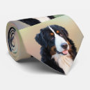 Recherche de bernese mountain dog Nom