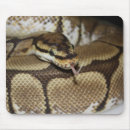 Recherche de serpent tapis souris Langue