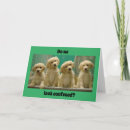 Recherche de confus cartes postales Chien