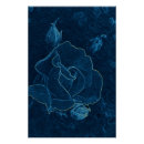 Recherche de contour posters Rose