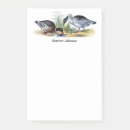Suche nach optional poster Natur