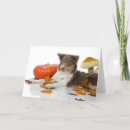 Suche nach collies karten Dogs