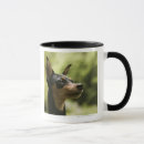 Suche nach zwergpinscher tassen Tier