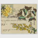 Recherche de histoire papier cadeau Papillon