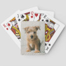 Suche nach puppy spielkarten Welpe