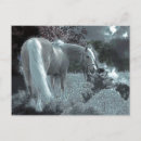 Recherche de cheval mystique cartes postales Chevaux